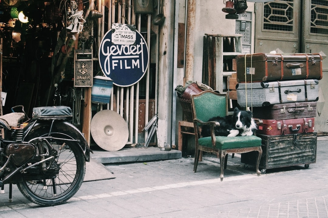 ¿Está buscando vaciar su vivienda, local comercial o piso?